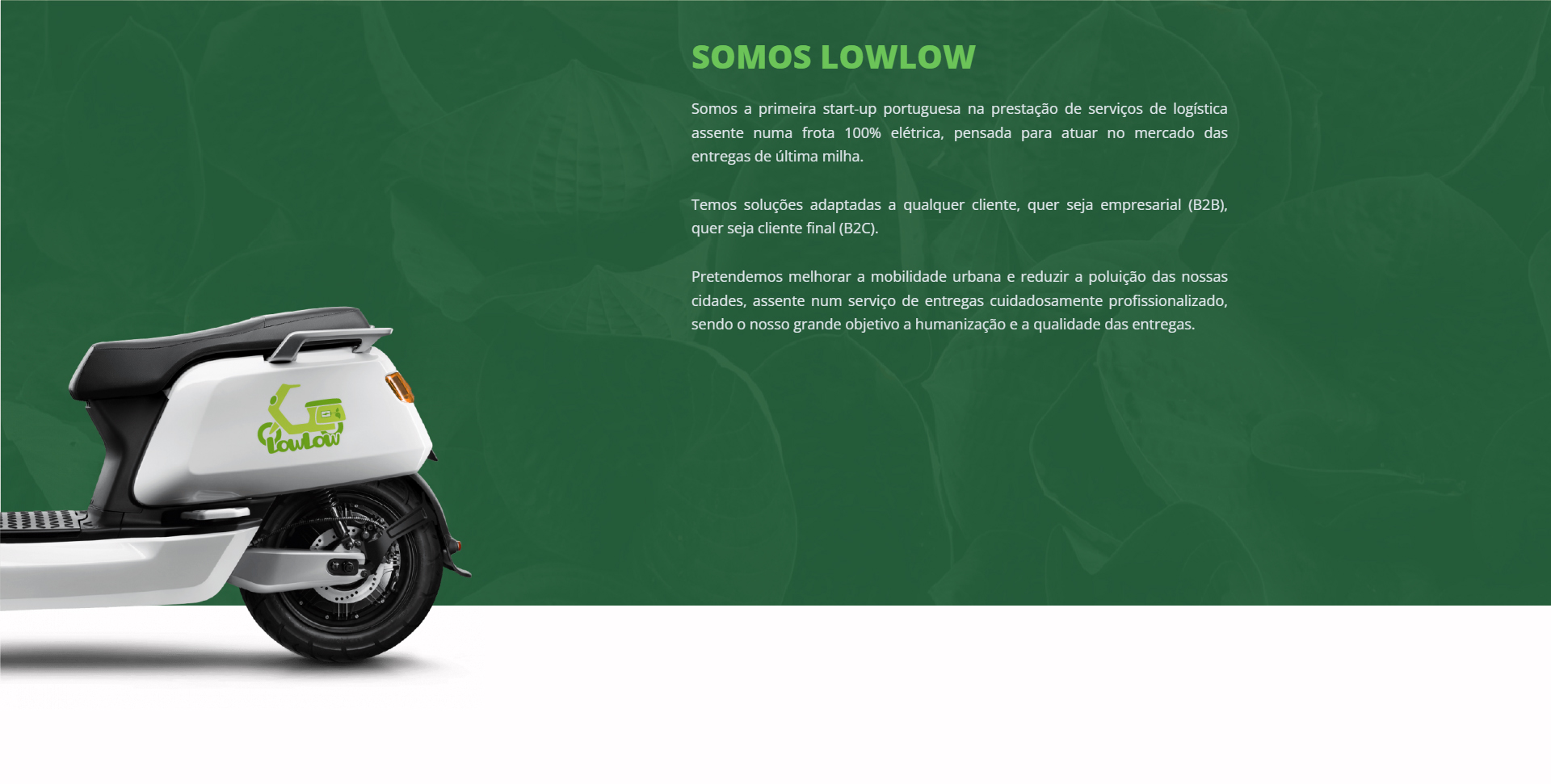 LowLow Image